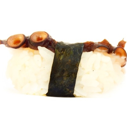 [SUN-NIGIRI-TAKO] Nigiri Tako